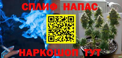 mdpv Малоярославец