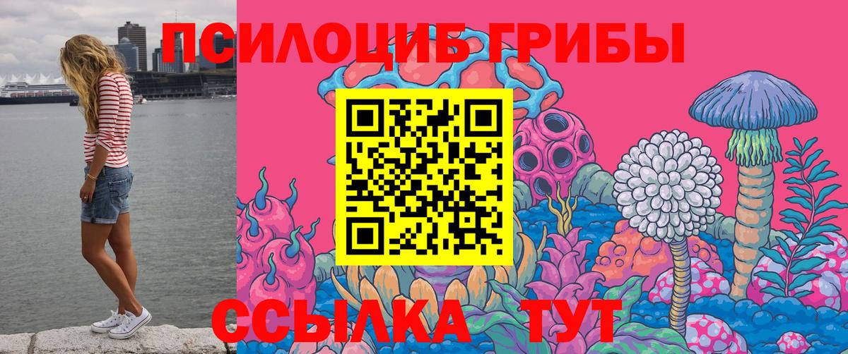 Галлюциногенные грибы ЛСД  Псилоцибиновые грибы GOLDEN TEACHER  Шарыпово  где купить наркоту  Вход с VPN 
